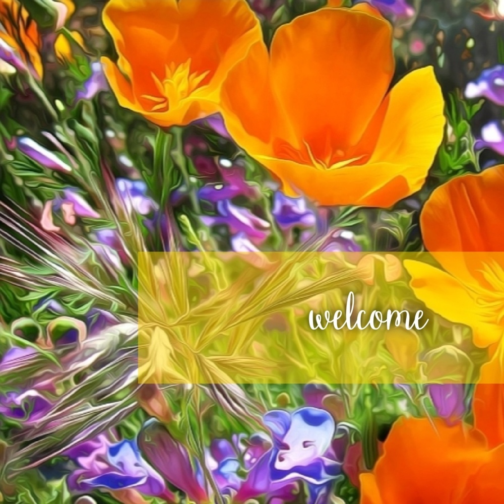 | Welcome! |